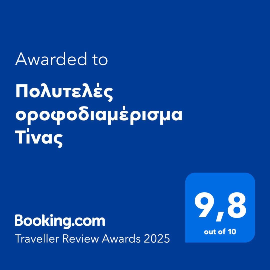 Πολυτελές Οροφοδιαμέρισμα Τίνας โวโลส ภายนอก รูปภาพ